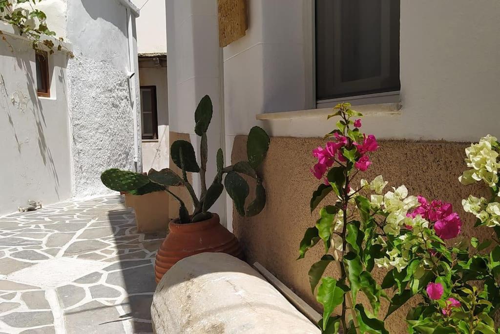 Naxion Esti - Διαμονή Στην Παλιά Χώρα Της Νάξου Villa Naxos City Luaran gambar