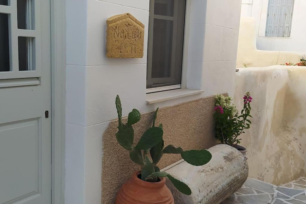 Naxion Esti - Διαμονή Στην Παλιά Χώρα Της Νάξου Villa Naxos City Luaran gambar